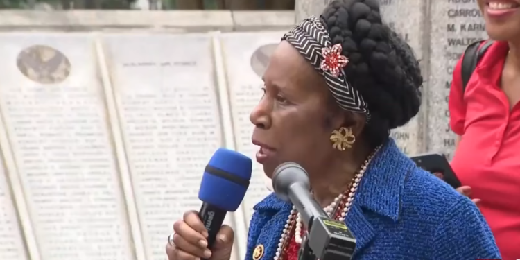 Dem Rep Sheila Jackson Lee Announces Pancreatic Cancer Diagnosis