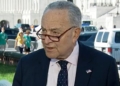 CARRIE SHEFFIELD: Chuck Schumer Deploys Another Political Smokescreen
