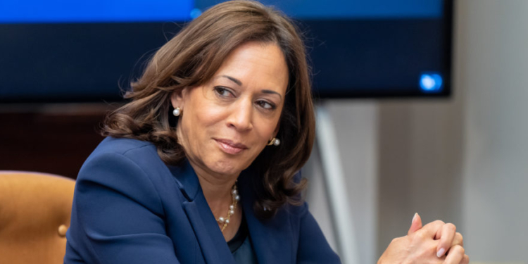 ‘Historic Candidacy’: Major Green Activist Orgs Back Kamala Harris’ 2024 Bid