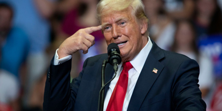 Trump Calls Harris ‘Dumb as a Rock’