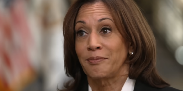 ‘Border Czar’ Kamala Harris Once Blamed ‘Lack Of Climate Adaptation’ For Massive Immigration Surge