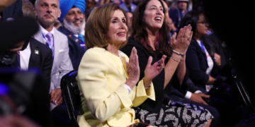 Pelosi Interview Interrupted by Pro-Palestinian Protester