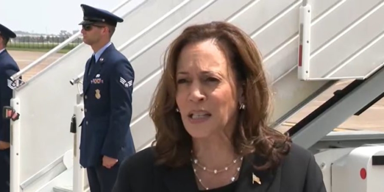 ‘Absolutely Not’: Retired Border Patrol Chief Says Kamala Harris Never Once Spoke With Him About Border Crisis