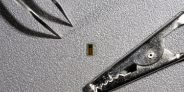 EPFL Researchers Develop Tiny Brain Chip For High-Accuracy Thought-to-Text Conversion‌
‌