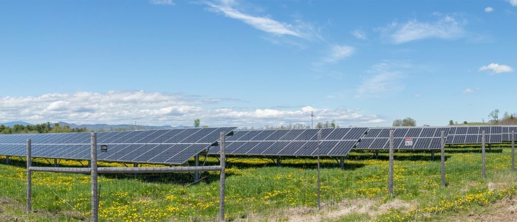 ‘Hate-Fueled Mass Violence’: Jordanian Arrested After Attacks On Florida Businesses, Power Facility