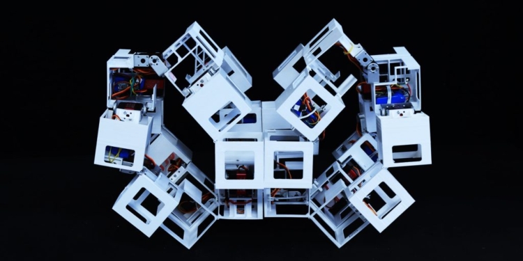 Origami-Inspired ‘Transformer Bots’ Revolutionize Space Travel With Shape-Shifting Capabilities‌
‌