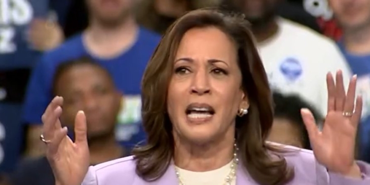 ‘Who I Vote For Is No One’s Business’: Dem In Red-Leaning District Refuses To Commit To Vote For Harris