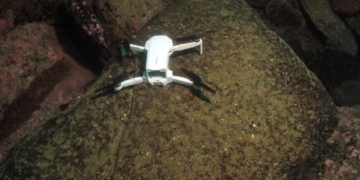 Divers Find Sunken Drone, Seek Owners Via Recovered Footage‌
‌