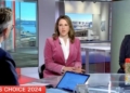 CNN Guest Says Harris Skipping Economic ‘Specifics’ Could Pay Off