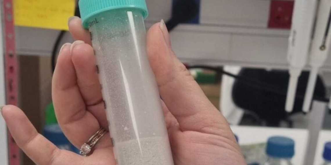 Israeli Startup Day 8 Revolutionizes Protein Extraction From Discarded Leaves
