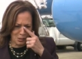 Left-Wing Activists Hope Kamala Harris’ Border Hawk Rebrand Is Just Smoke And Mirrors