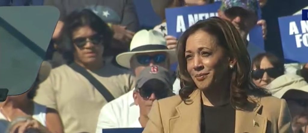 RICK MANNING: The IRS Must Be Awfully Excited About A Potential Kamala Harris Presidency