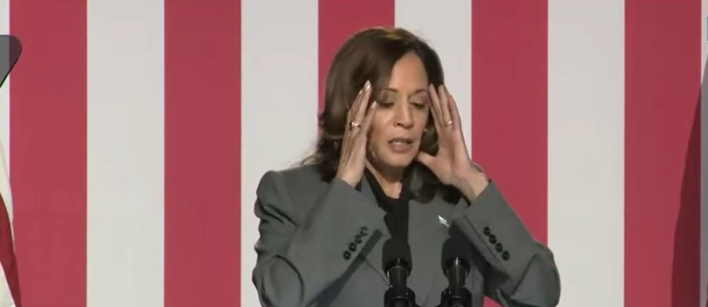 STEVE CORTES: Battleground Voters Don’t Trust Harris — She Seems Phony