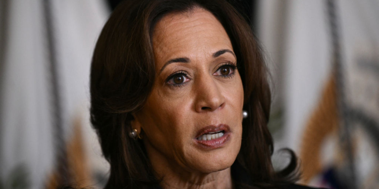 Kamala Harris Receives Pushback From CBS News Correspondent While Discussing Her Plan for Economy