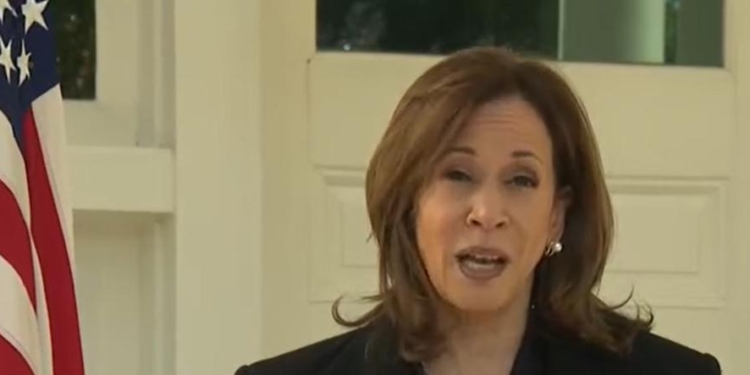 CNN Journalist Points Out ‘Warning Sign’ For Harris In Two Key Battleground States