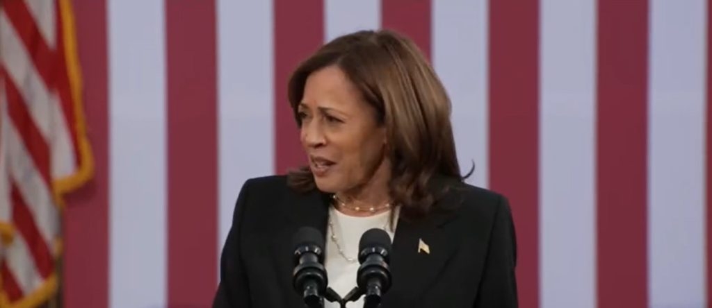 DAVID BOSSIE: Dems Are Quickly Finding Out That Kamala’s Basement Strategy Is A Nonstarter