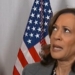 MSNBC Guest Claims Kamala Harris Running ‘One Of The Most Perfectly Executed Campaigns’ In American History