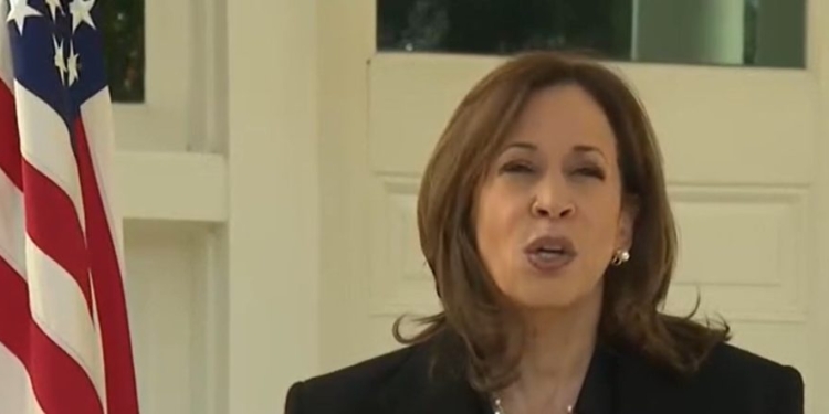 NOELLE HUIZENGA: Kamala Harris Said It Out Loud