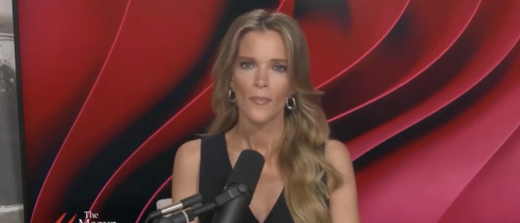 ‘You People Are Too Stupid To Live’: Megyn Kelly Goes All In On MSNBC Host Defending Harris’ Fox Interview