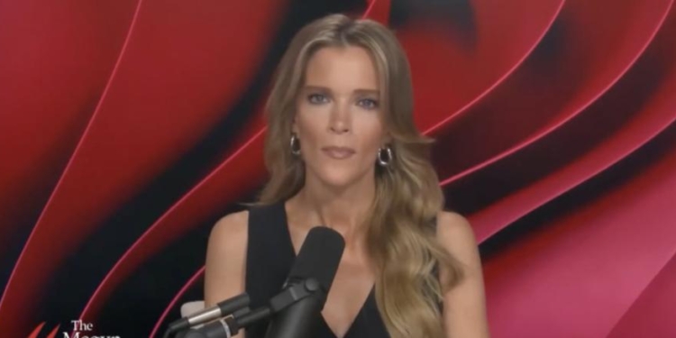 ‘You People Are Too Stupid To Live’: Megyn Kelly Goes All In On MSNBC Host Defending Harris’ Fox Interview