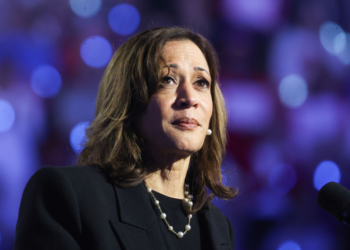 Dem Strategist Tells Harris ‘Please Don’t’ Run in 2028