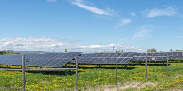 Biden’s Green Push Stumbles As Chinese Firm Ditches Texas Solar Plant