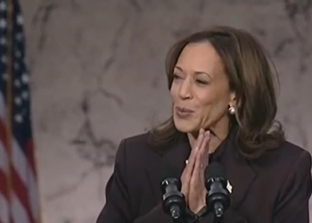 CARLY ATCHISON BIRD: Trump’s Landslide Win Reveals Dems Have More Than Just A Biden-Harris Problem
