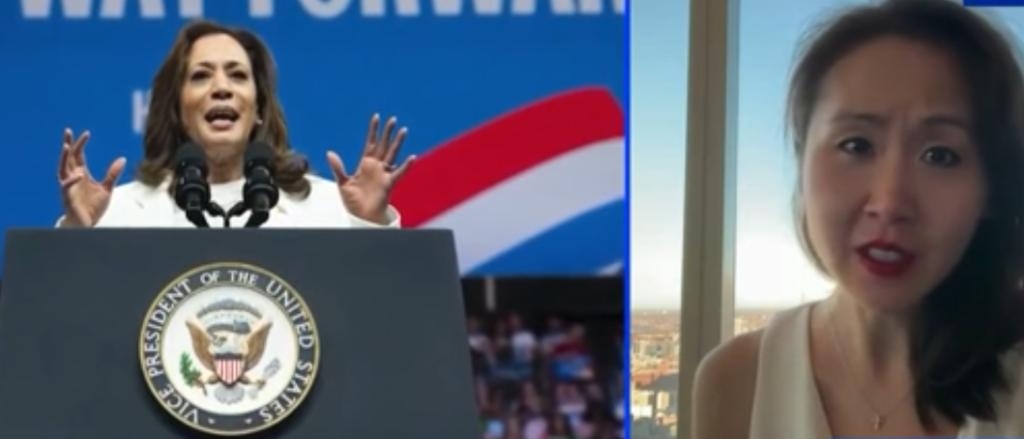 ‘I Was Stunned’: DNC Official Says Harris Took No ‘Responsibility’ For Blowing Billions During Campaign Donor Call