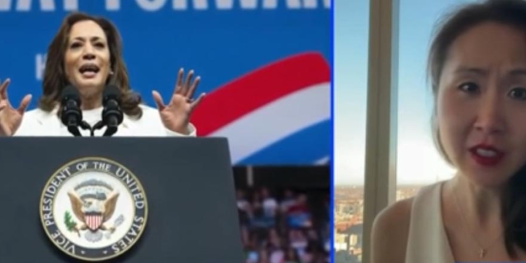 ‘I Was Stunned’: DNC Official Says Harris Took No ‘Responsibility’ For Blowing Billions During Campaign Donor Call