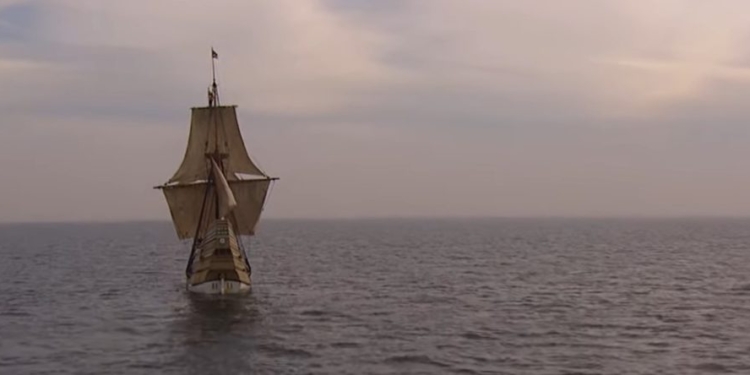 JOHN STOSSEL: This Thanksgiving Let’s Be Thankful For Capitalism And Abundance