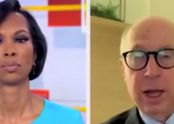 ‘No Learning Has Been Done’: Former Clinton Adviser ‘Worried’ Dems ‘Will Be A Permanent Minority Party’