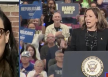 ‘Please Don’t’: Democratic Strategist Pleads With Kamala Harris To Never Run For President Again