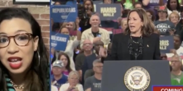 ‘Please Don’t’: Democratic Strategist Pleads With Kamala Harris To Never Run For President Again