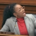 ‘We Were Stolen!’: Dem Rep Goes On Racial Rant During Hearing, Says Black Americans Didn’t ‘Ask To Be Here’