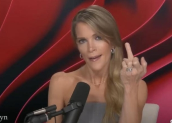 ‘You Should Take It And Stuff It’: Megyn Kelly Names Major Celebs Among Biggest ‘Losers’ Of 2024 Election