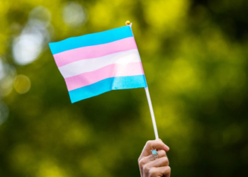 EXCLUSIVE: Kia, TJ Maxx Listed As Corporate Sponsors Of ‘Rainbow Library’ Pushing Trans Books To Preschool Kids