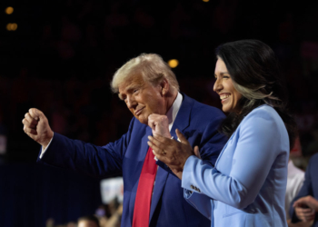 Former Intelligence Officials Call on Senators to Confirm Tulsi Gabbard as Director of National Intelligence