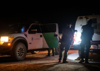 Ex-US Border Patrol Chief Says ‘Day One’ Targeted Deportations Within Trump Admin Capabilities