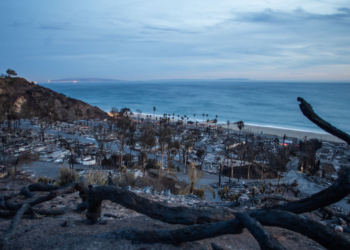 Report Details Los Angeles ‘Disaster Was Years in the Making’