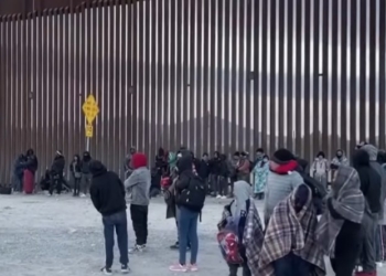 ‘Abuse Of The System’: Shocking Estimate Reveals How Many Illegal Aliens Take Advantage Of Birthright Citizenship