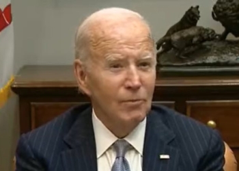 Biden Uses Last-Minute AI Executive Order To Force More Green Energy Onto The Grid