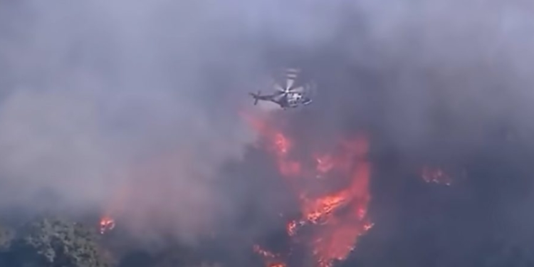 FRANK RICCI: Like Administrative Arson, California’s Bad Ideas Spread Like Wildfires