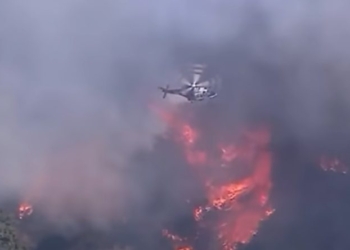 Illegal Immigrant Arrested Near LA Fire With Blowtorch Is A Convicted Felon With History Of Violence
