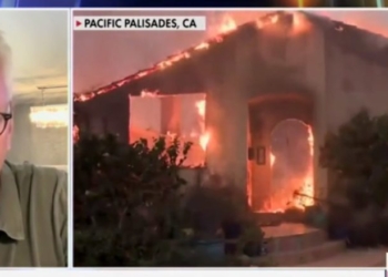 James Woods Smacks Down ‘Blithering Idiot’ Gavin Newsom For Dropping Ball On Forest Management