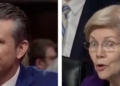 Laughter Erupts During Senate Hearing As Pete Hegseth Quips About His Military Service In Response To Elizabeth Warren