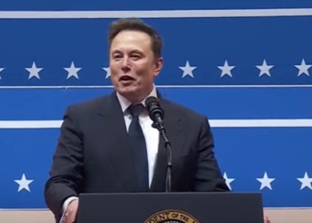 SASHA TOPERICH: Attacks On Elon Musk Are Fake News