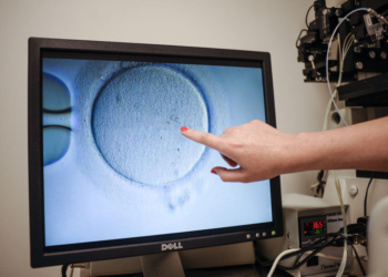 Some Pro-Life Advocates Speak Out Against Trump’s Move on IVF