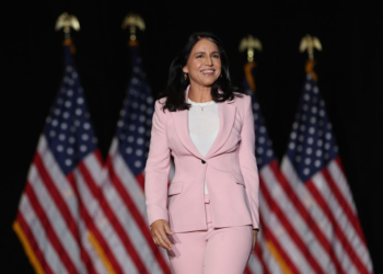 Gabbard Says More Than 100 Intelligent Staffers Fired for Alleged Explicit Chats