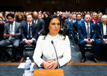 Breaking: Senate Confirms Tulsi Gabbard as Trump’s National Intelligence Director