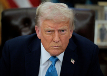 Trump Says If Ukraine Wants Continued Support They Must Give Access to Rare Earth Elements